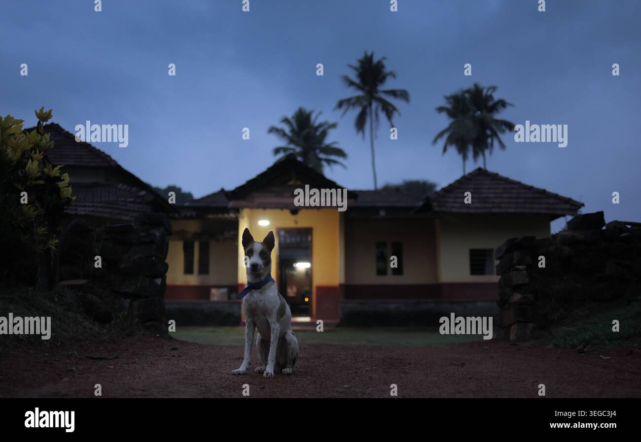 Cane da villaggio di fronte a una tradizionale casa sul tetto piastrellata in India Foto Stock
