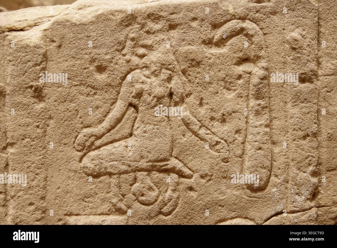 Primo piano di lavori di rilievo che mostrano la scena del parto in blocchi al Tempio di Dendera, vicino a Qena, in Egitto Foto Stock