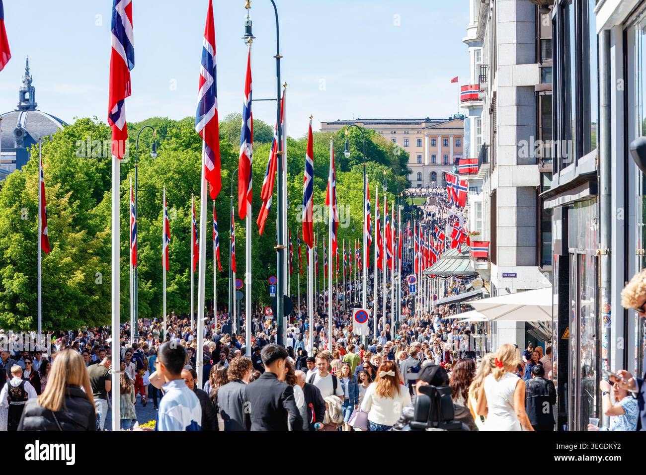 Oslo, Norvegia - 17 maggio 2025: La folla celebra il giorno della Costituzione norvegese al cancello di Karl Johans con bandiere norvegesi, atmosfera festosa e il Royal Pa Foto Stock