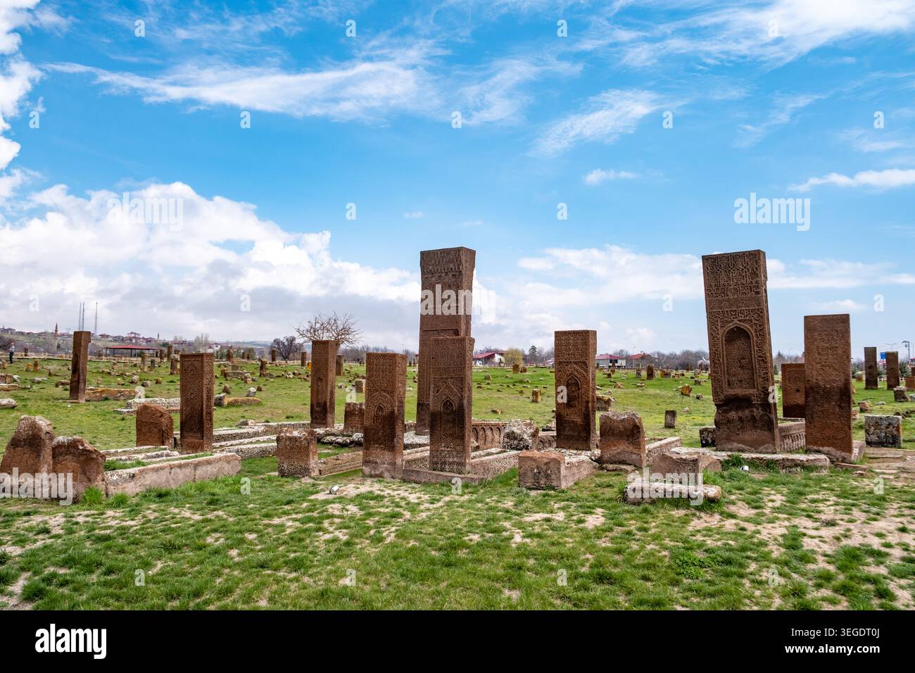 Storiche lapidi selgiuchide nel cimitero di Ahlat, Bitlis, Türkiye, che riflettono l'artigianato medievale anatolico e il patrimonio islamico. Foto Stock