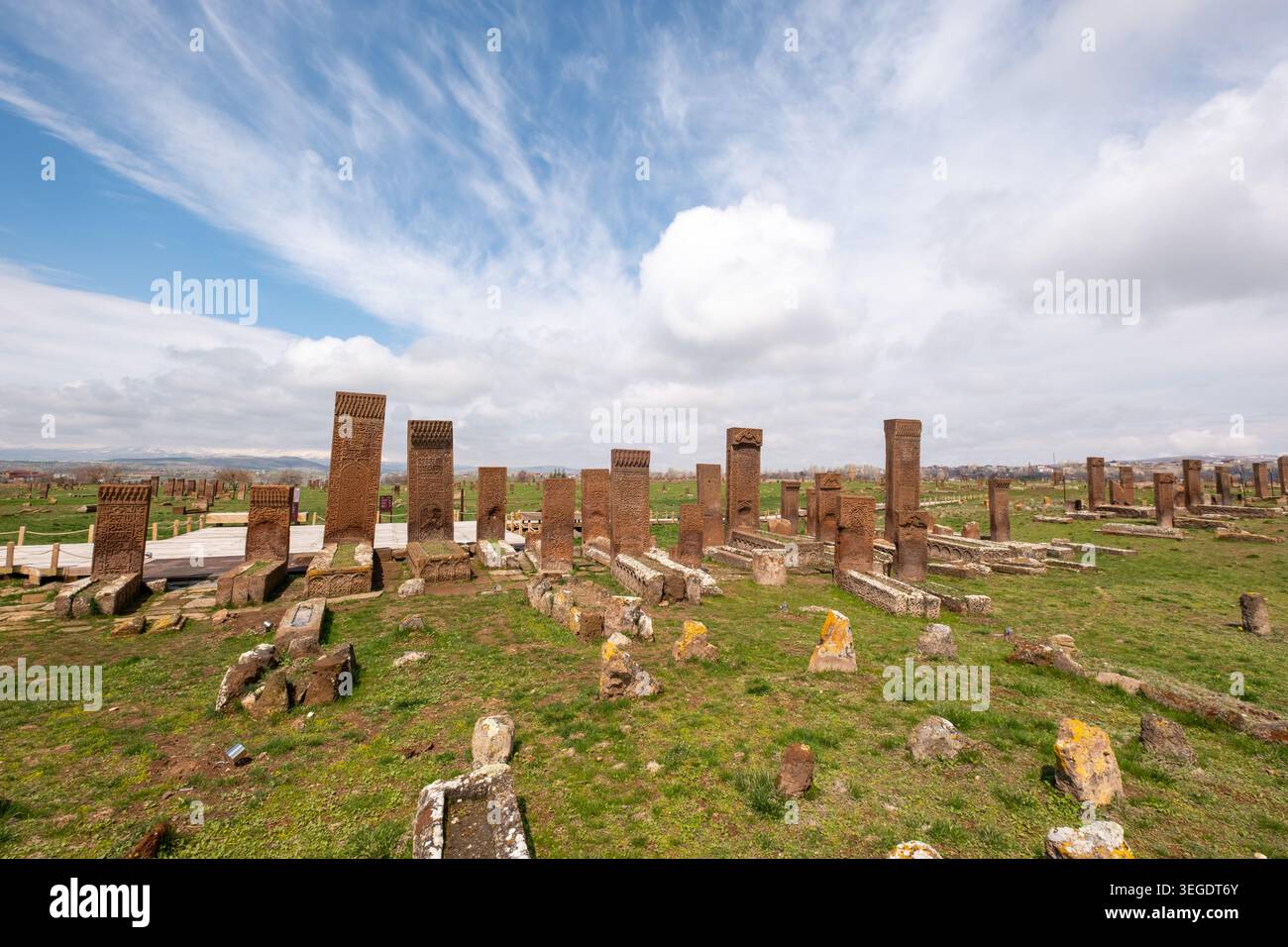Storiche lapidi selgiuchide nel cimitero di Ahlat, Bitlis, Türkiye, che riflettono l'artigianato medievale anatolico e il patrimonio islamico. Foto Stock