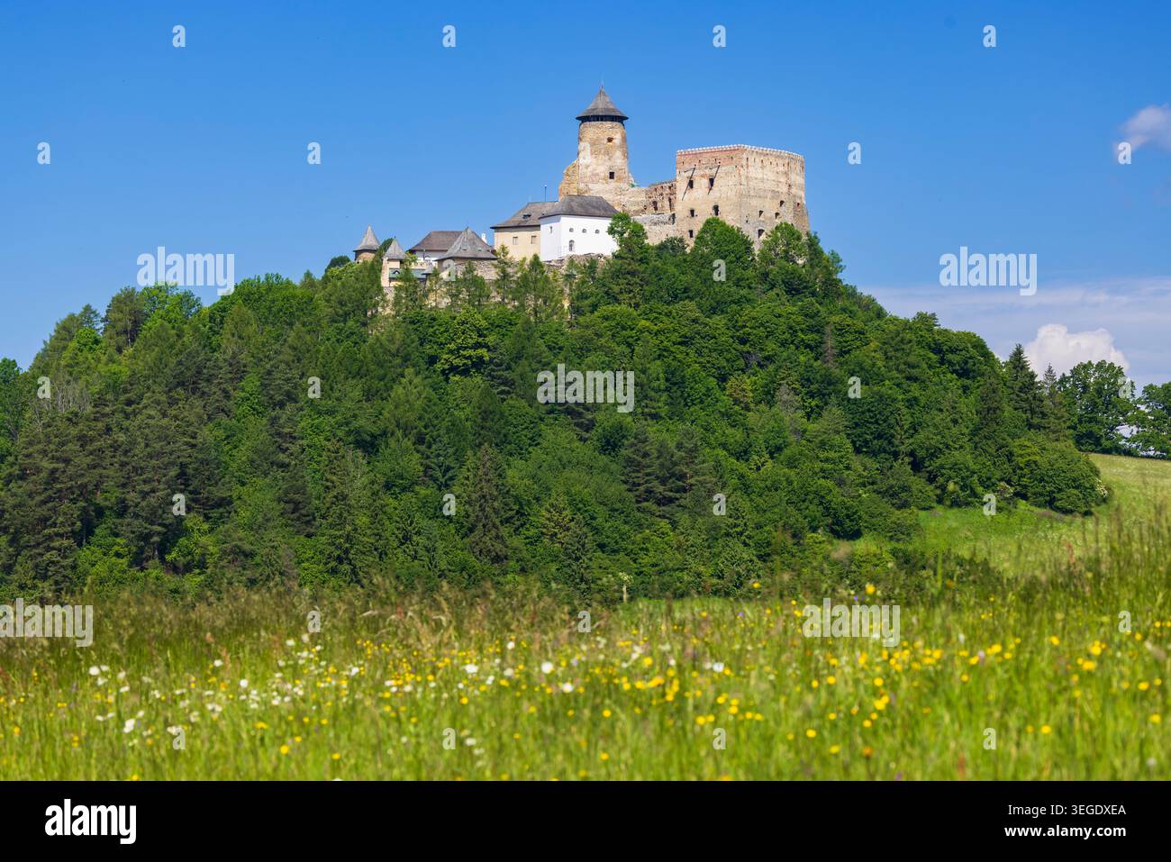 Castello di Stara Lubovna, regione di Presov, Slovacchia Foto Stock