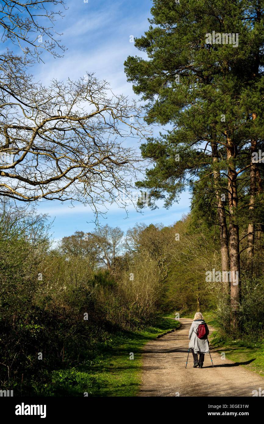 Reinden Woods, Kent, donna che ha più di 50 anni Foto Stock