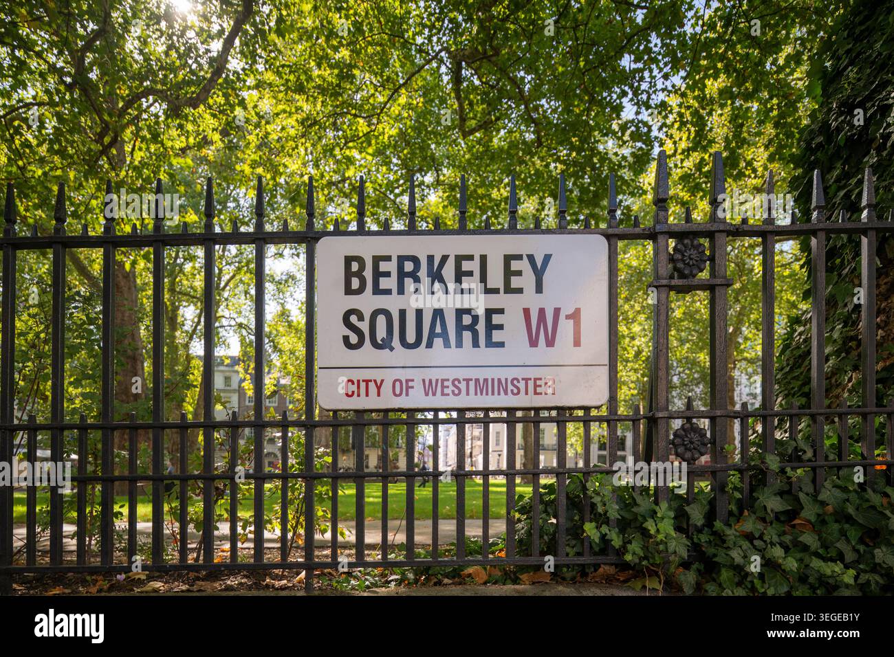 Il cartello W1 di Berkeley Square a Mayfair, Londra, circondato da alberi maturi durante il caldo tempo estivo. Foto Stock