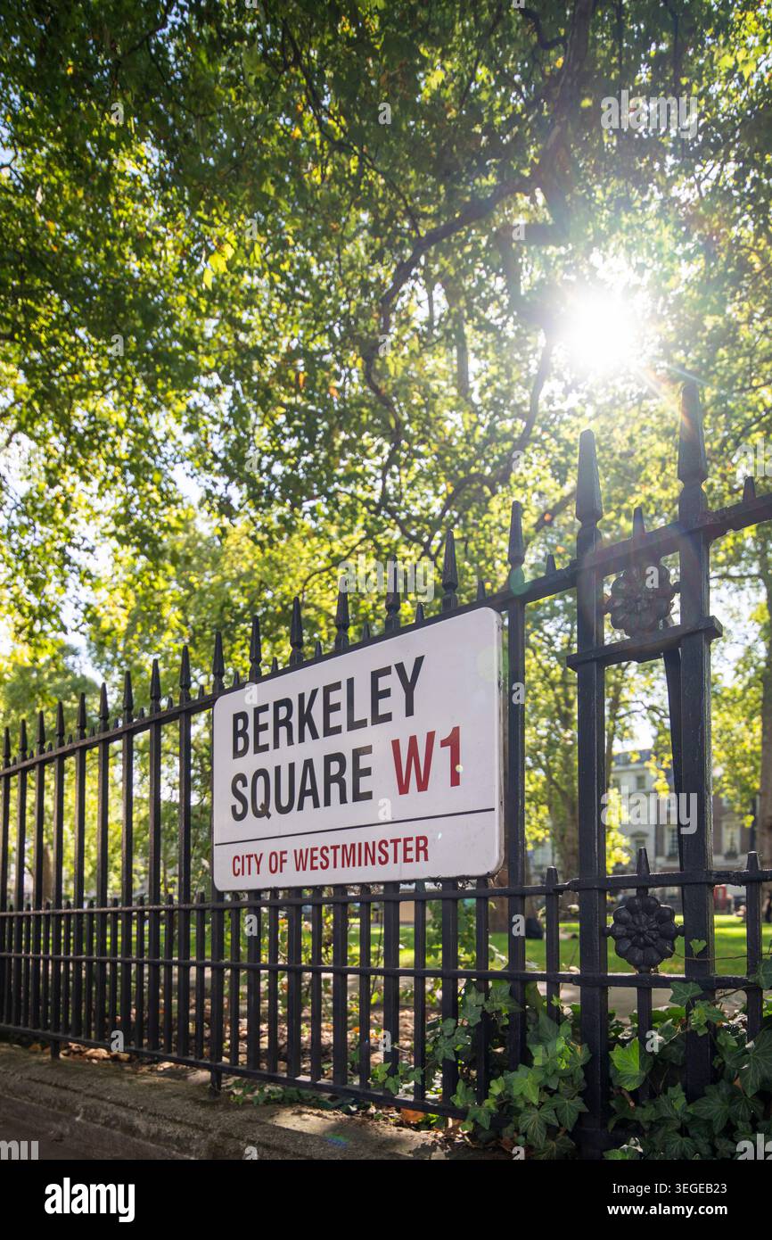 La luce del sole filtra tra tra gli alberi sopra il cartello di Berkeley Square a Mayfair, Londra, durante il caldo tempo estivo. Foto Stock