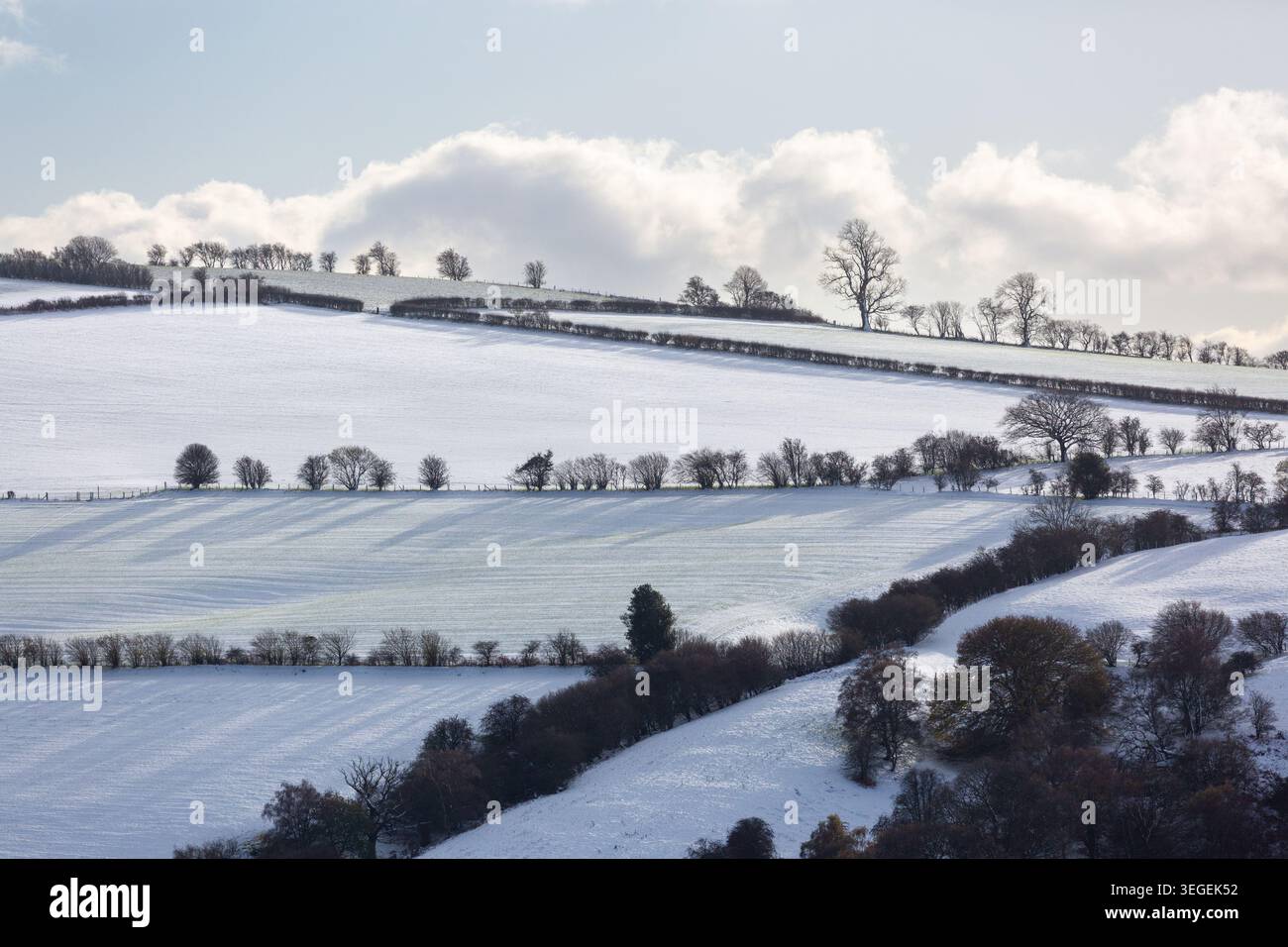 Campagna innevata nello Shropshire, Inghilterra Foto Stock