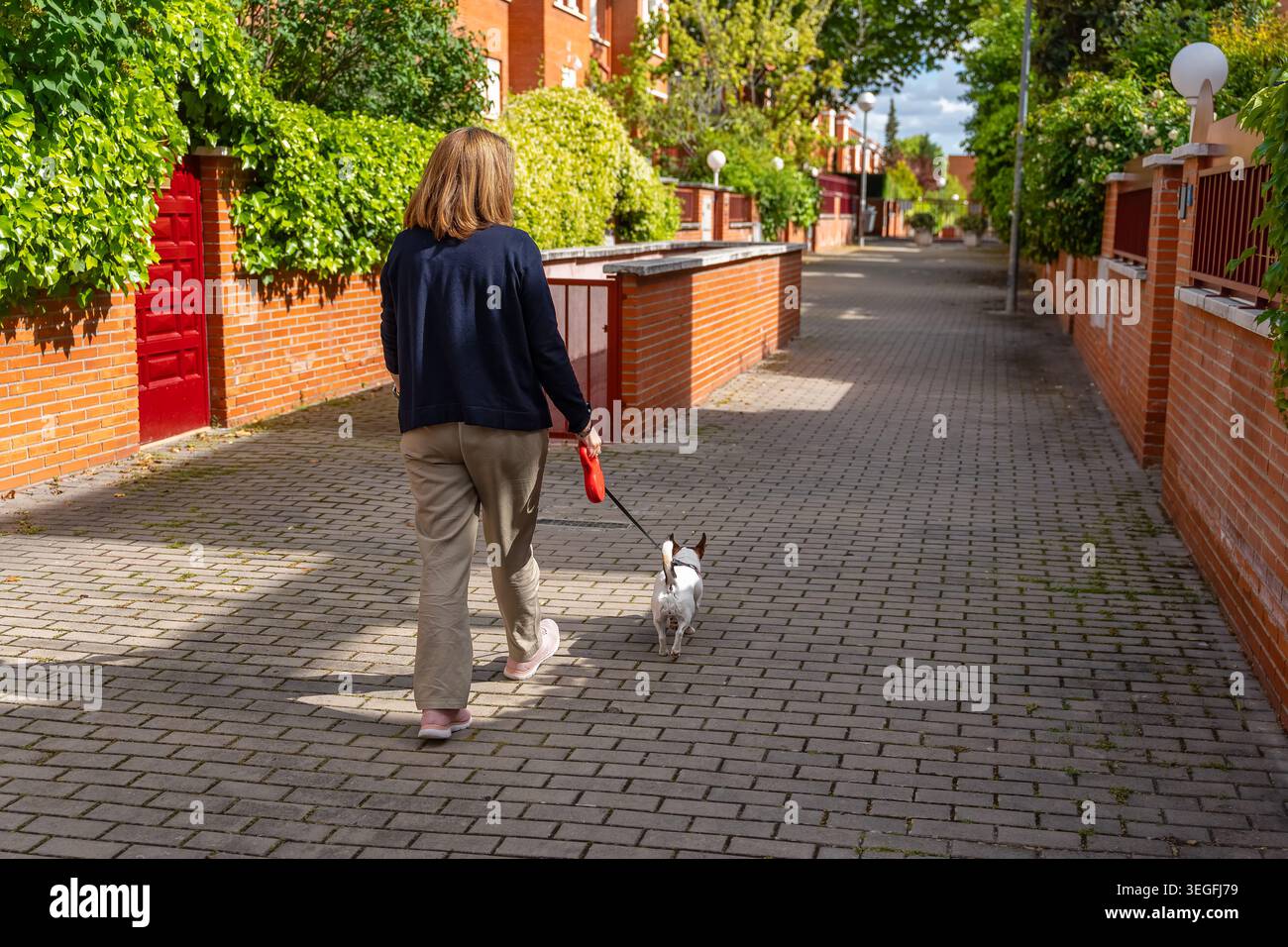 Donna di dietro che cammina un piccolo cane bianco per le strade dell'urbanizzazione. Foto Stock
