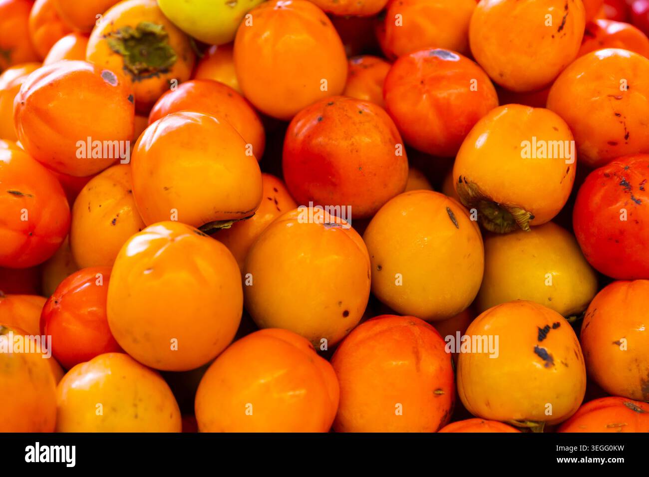 Molti dei freschi persimmons Foto Stock