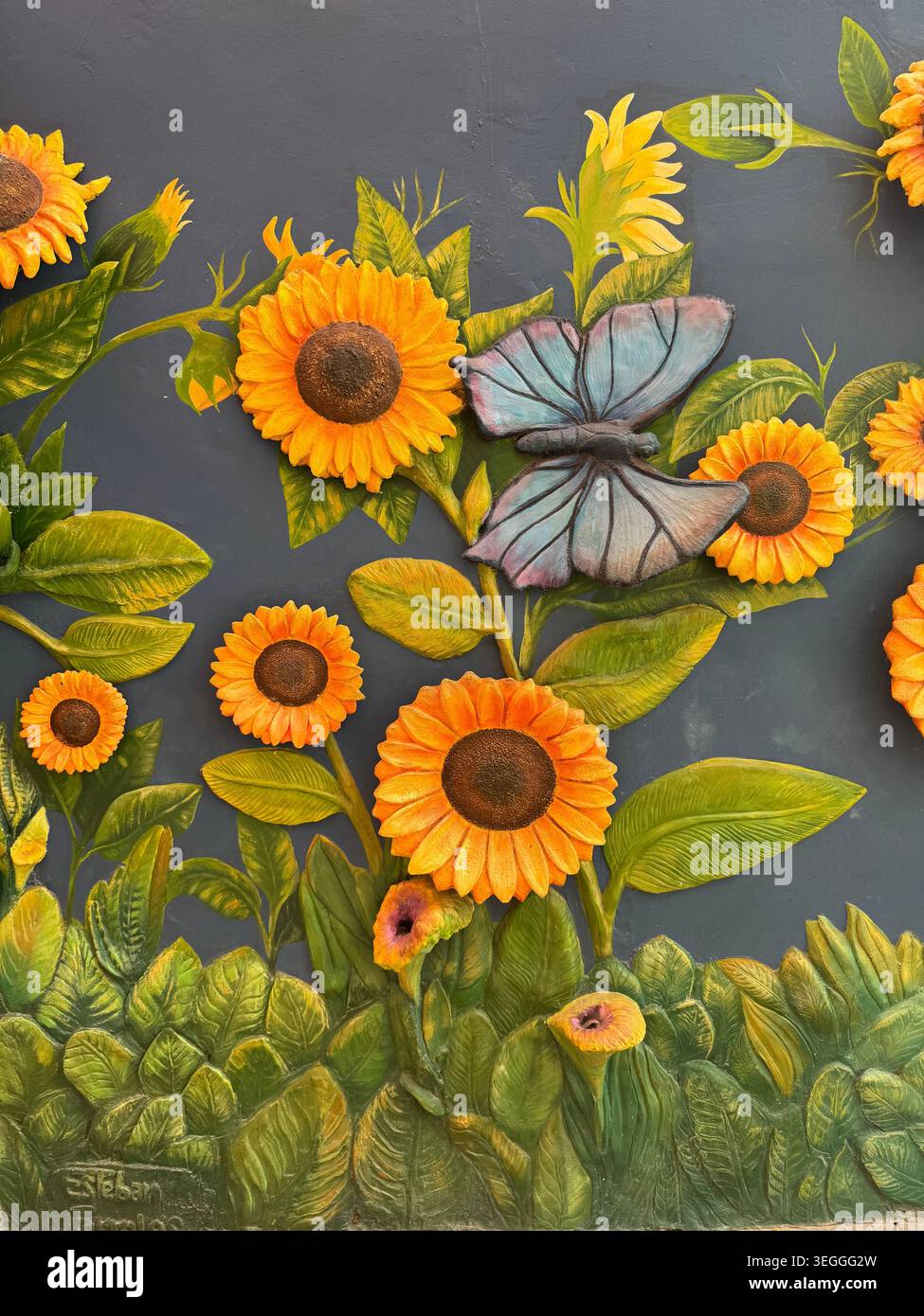 Primo piano di un colorato dipinto murale di Street art con girasoli gialli luminosi e una farfalla realistica su una parete scura. - Immagine stock catturata con smartphone