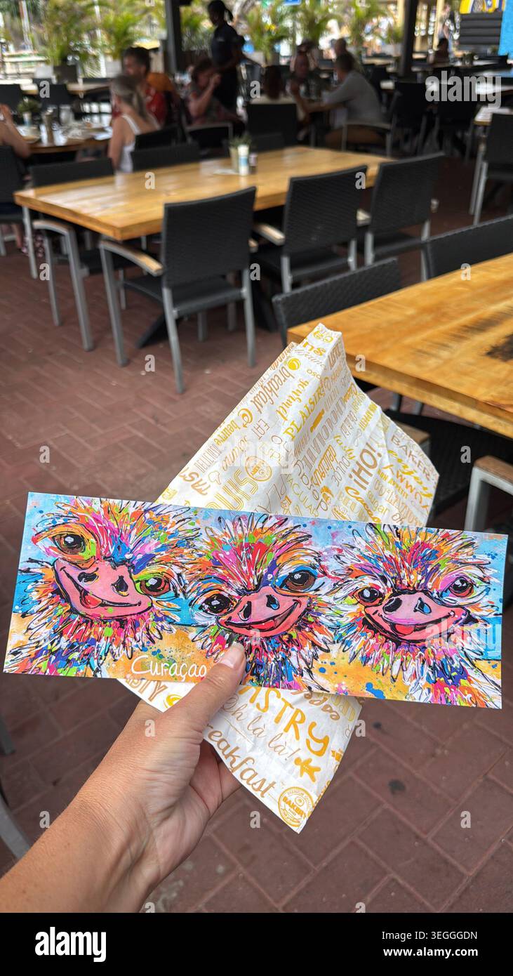Una persona in possesso di una cartolina artistica colorata ricordo con tre divertenti struzzi dipinti in un caffè all'aperto a Curacao. Foto Stock
