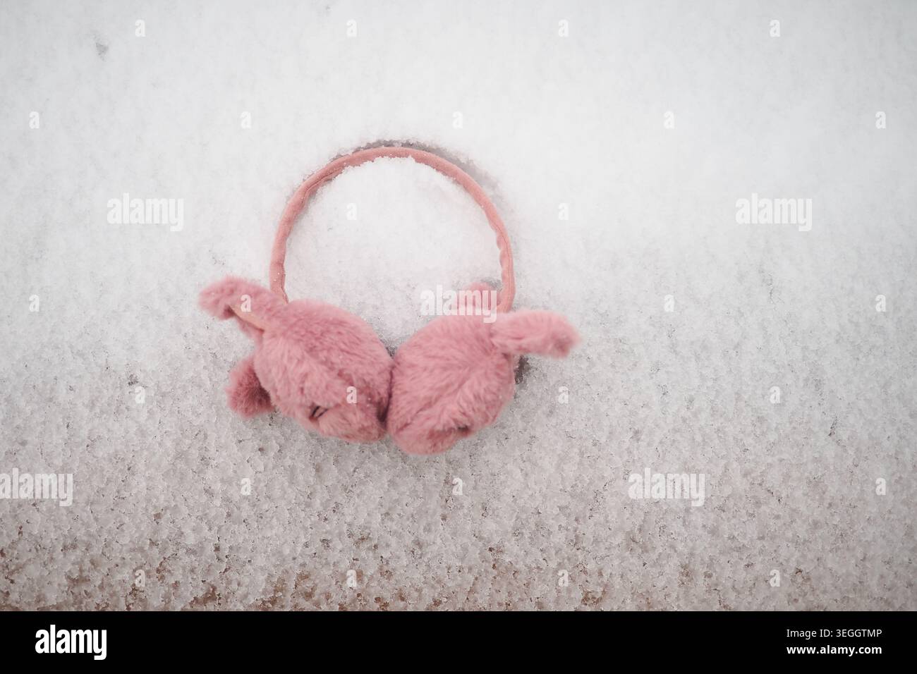 L'orecchio rosa si riscalda sulla neve in un ambiente invernale Foto Stock