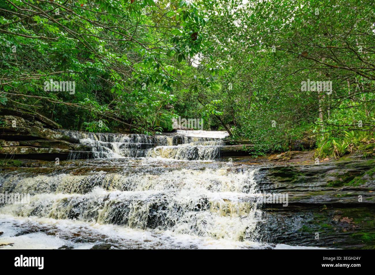 Le cascate d'acqua si estendono su rocce in una serie di piccole cascate, incorniciate da una vegetazione lussureggiante nel paesaggio colombiano. Foto Stock