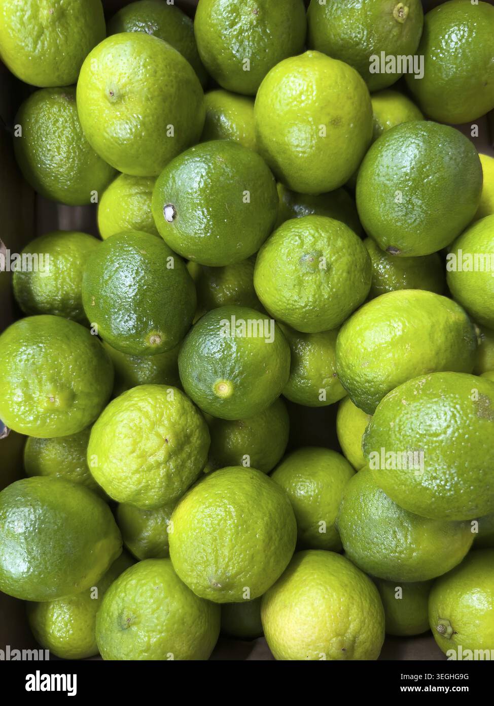 Limes, piccoli agrumi verdi aromatici, internazionali Foto Stock