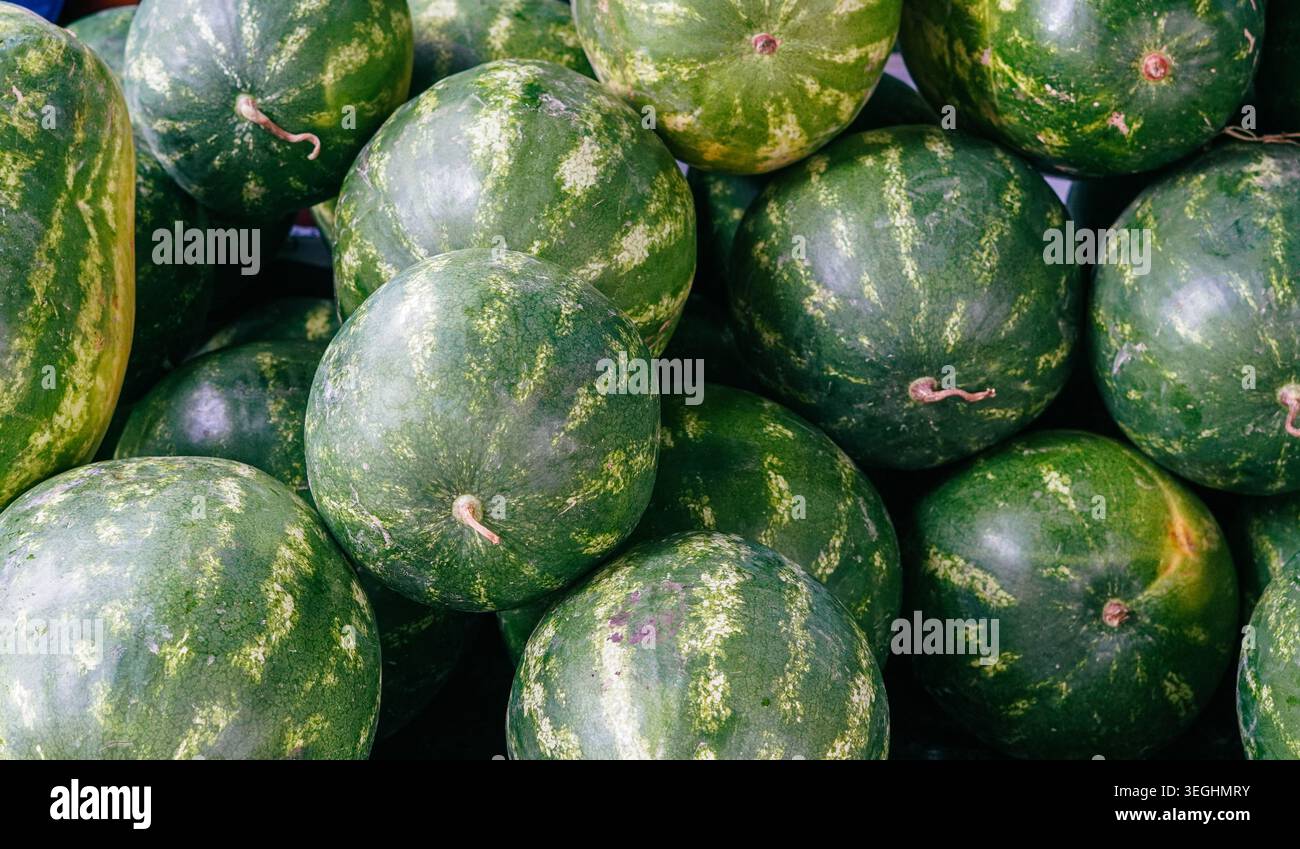 Un denso mucchio di angurie mature a righe verdi impilate da vicino in un mercato Foto Stock