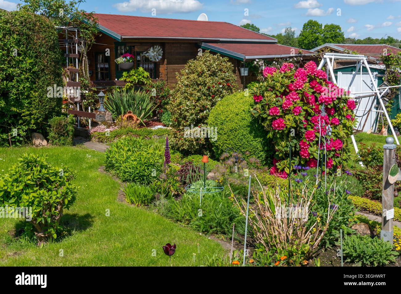 Giardino fiorito alla luce del sole primaverile con fiori freschi e vegetazione Foto Stock