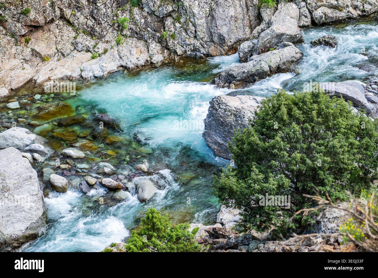 Un fiume scorre attraverso un'area rocciosa in Corsica, Francia. L'acqua è limpida e turchese, si muove rapidamente su pietre e circondata dal verde. La sc Foto Stock