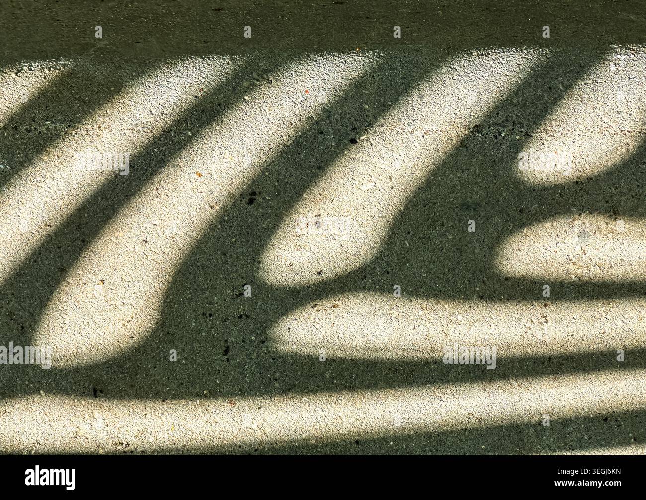 Motivi ombra astratti su superfici in cemento illuminate dal sole per creare strisce organiche simili a zebre Foto Stock