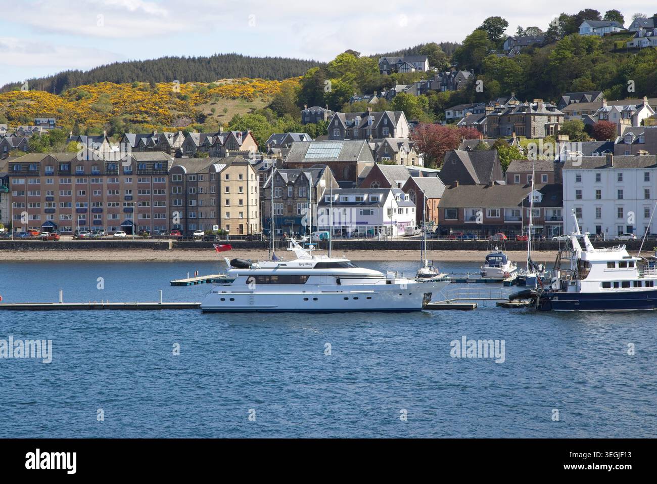 Ferie sull'Isola di Mull per avvistare le aquile di mare di White Tailed nel maggio 2026, fermatevi a Oban sul traghetto per Craignure per soggiornare all'hotel Mull Spa. Foto Stock