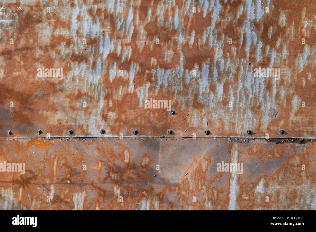 Fotografia ravvicinata di lamiera arrugginita con viti visibili e motivi di superficie ossidati Foto Stock