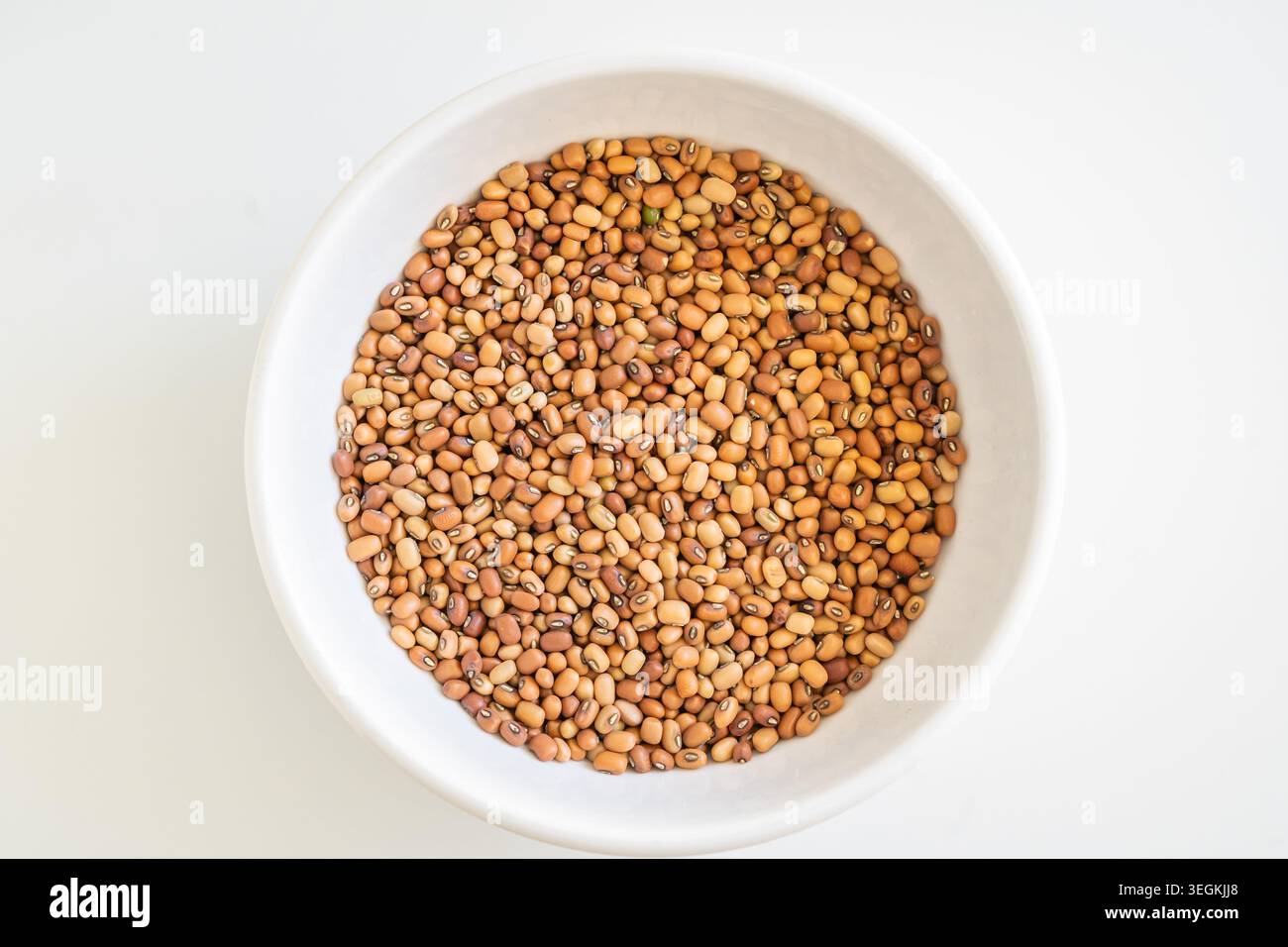 Un generoso mucchio di fagioli di falena crudi (Matki), un legume salutare usato nella cucina dell'Asia meridionale. Foto Stock