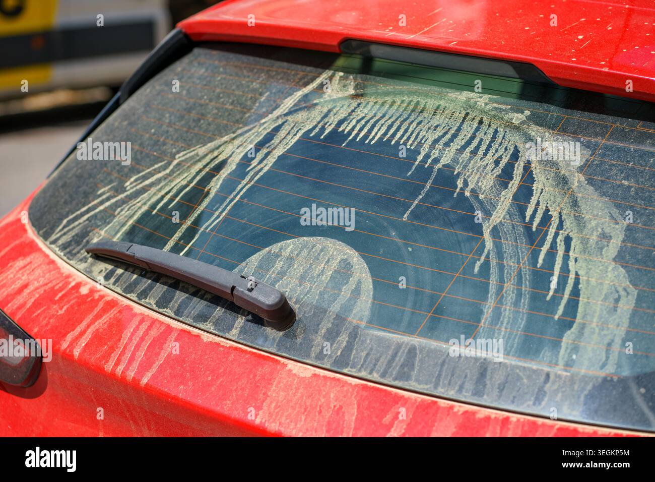 Finestrino posteriore dell'auto coperto da spesse strisce di polline, intensa fioritura primaverile che causa allergie, esposizione ambientale e concetto di salute stagionale. Foto Stock