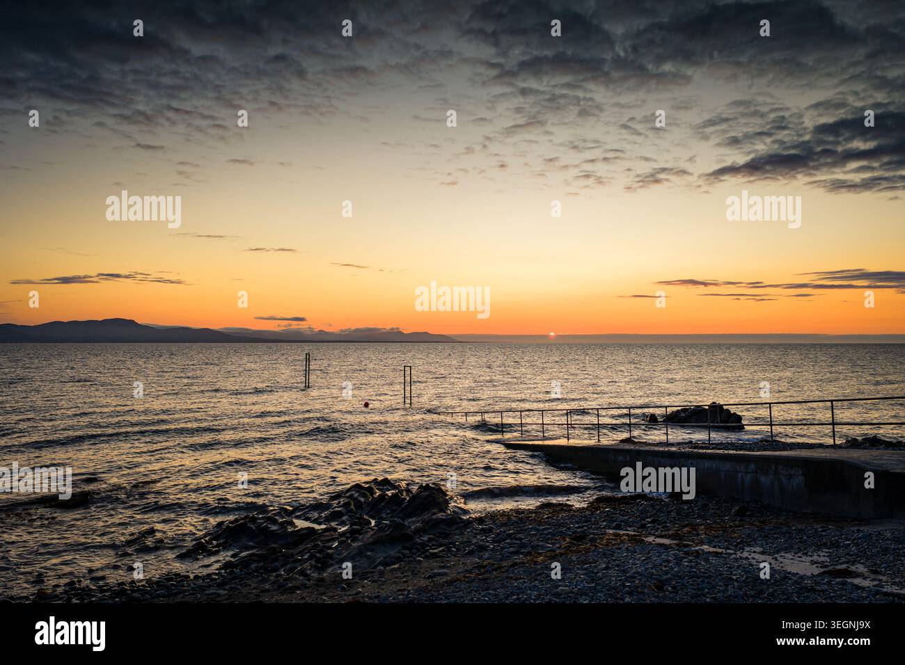 Bel volo sul molo di Salterstown, Annagassan, Contea di Louth, Repubblica d'Irlanda Foto Stock