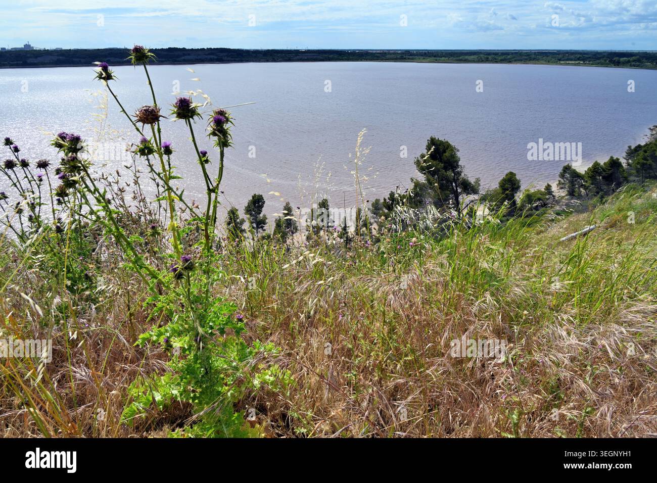 Laguna di acqua salata, Lago Salino o zona umida, Etang de Lavalduc, confinante con Saint Mitre-les-Remparts, Istres & Fos-sur-Mer, Provenza Francia Foto Stock