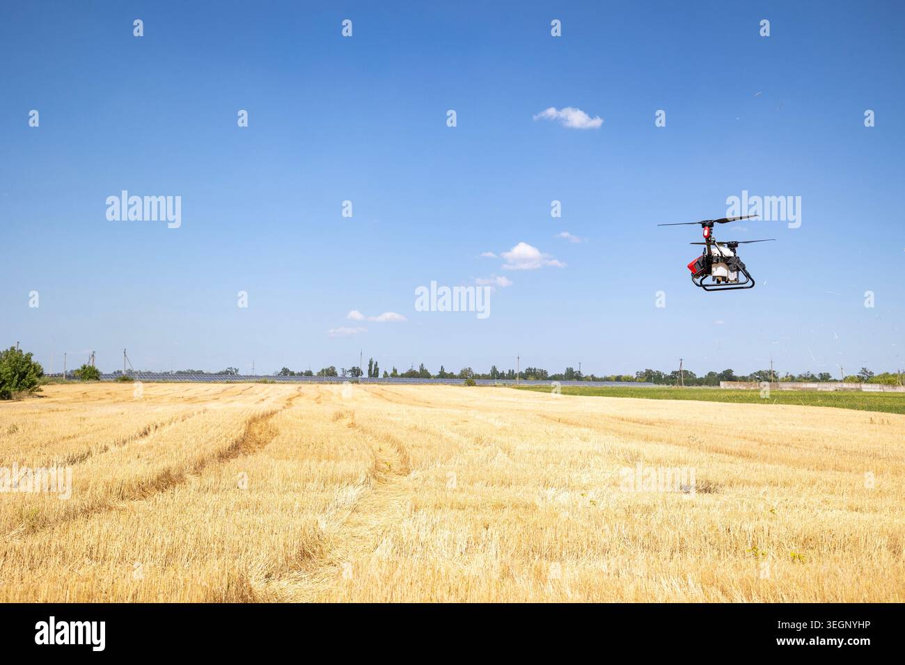 Un drone senza equipaggio per elicotteri agricoli vola su un campo di grano secco raccolto sotto un cielo azzurro limpido durante il giorno per eseguire il monitoraggio delle colture e. Foto Stock