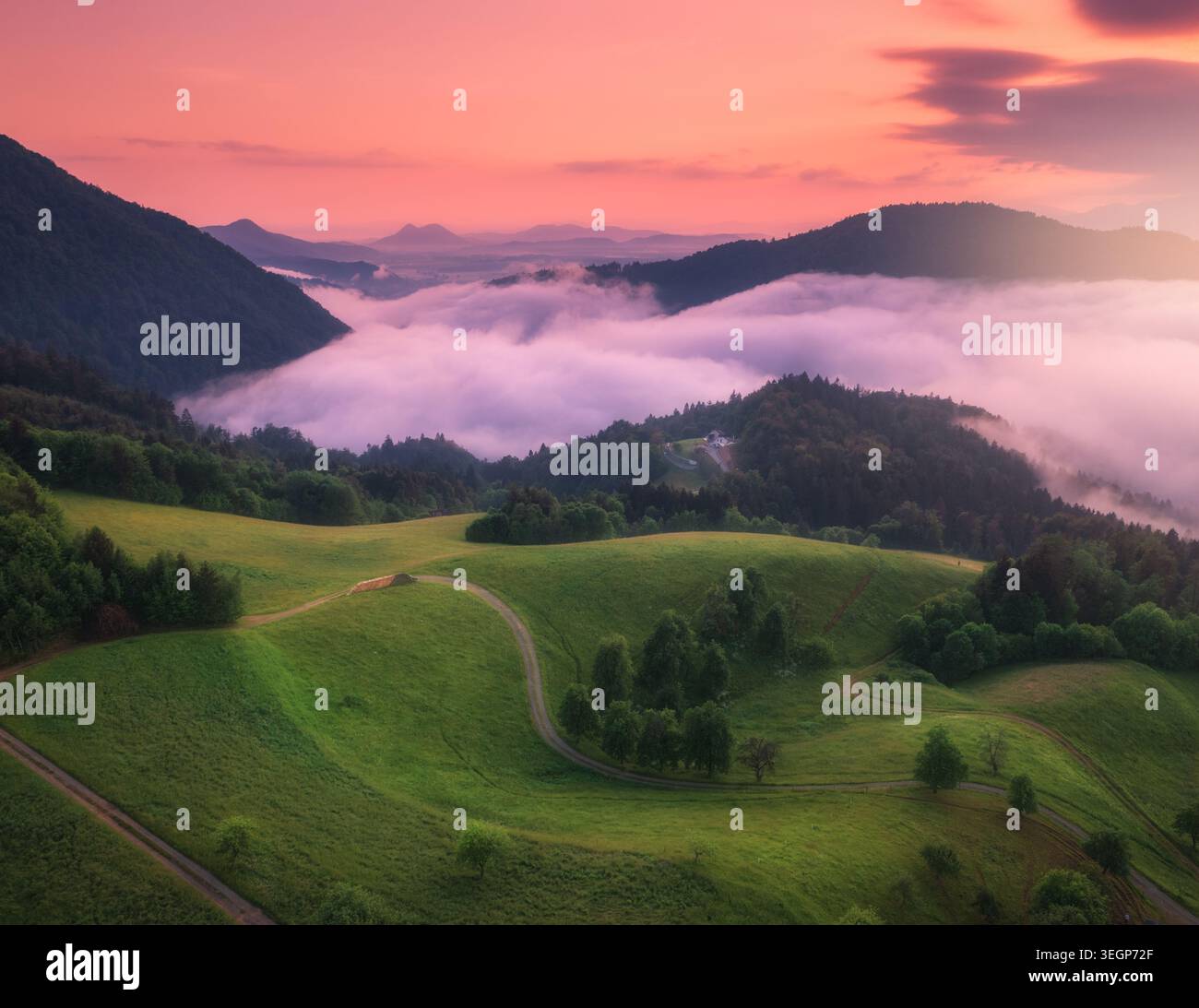Veduta aerea dei prati alpini e delle montagne nelle nuvole viola basse Foto Stock