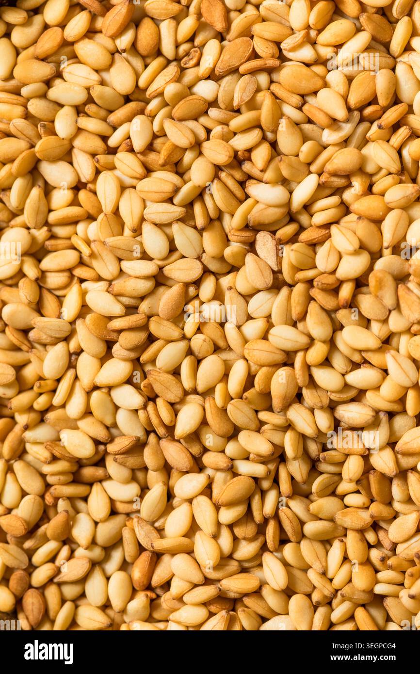 Semi di sesamo tostati crudi biologici in una ciotola da cuocere Foto Stock