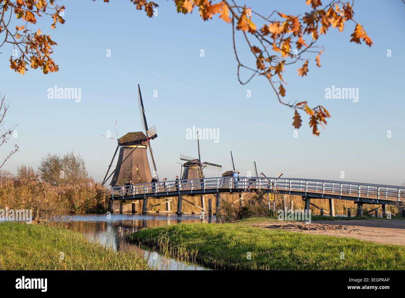 Pittoresco paesaggio autunnale caratterizzato da mulini a vento storici, tranquilli corsi d'acqua e un ponte di legno a Kinderdijk, Paesi Bassi, uno dei più belli del paese Foto Stock