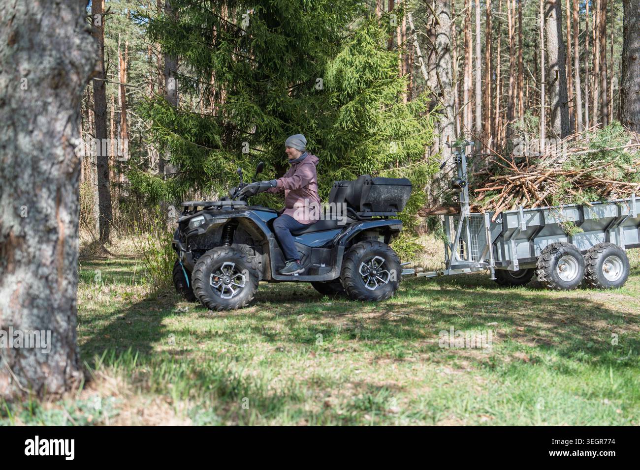 Donna che guida un ATV con un rimorchio pieno di rami attraverso un percorso forestale erboso in Estonia Foto Stock