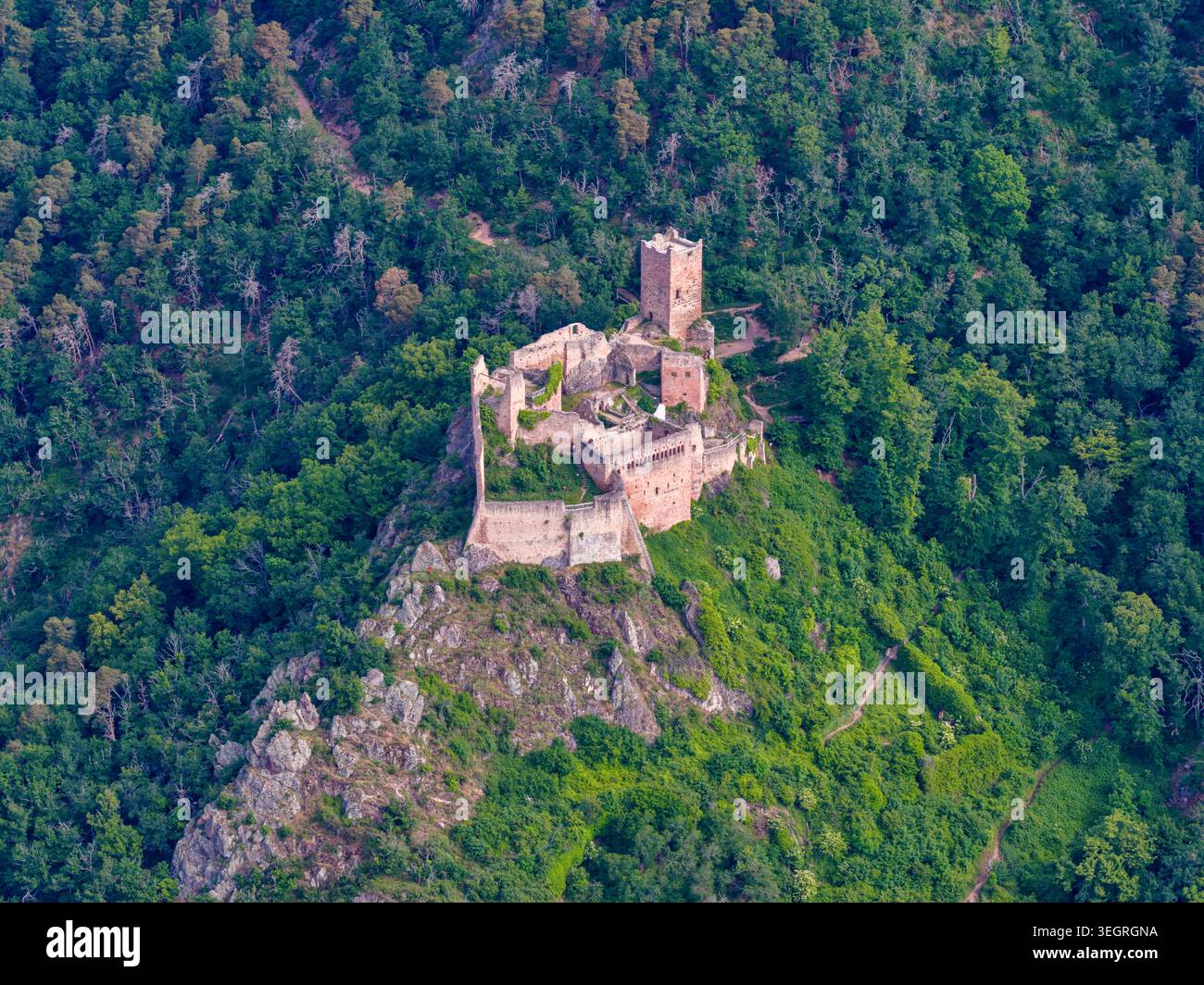 Vista aerea delle rovine medievali del castello di Saint-Ulrich su una lussureggiante collina circondata da una fitta foresta a Ribeauville, Grand Est, Francia. Foto Stock