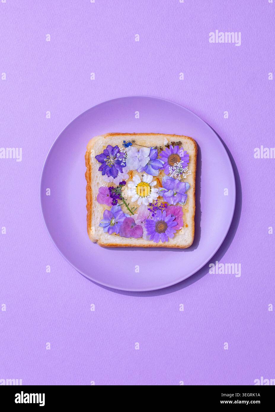 Una fetta di pane tostato è ricoperta da una colorata disposizione di fiori commestibili. Foto Stock