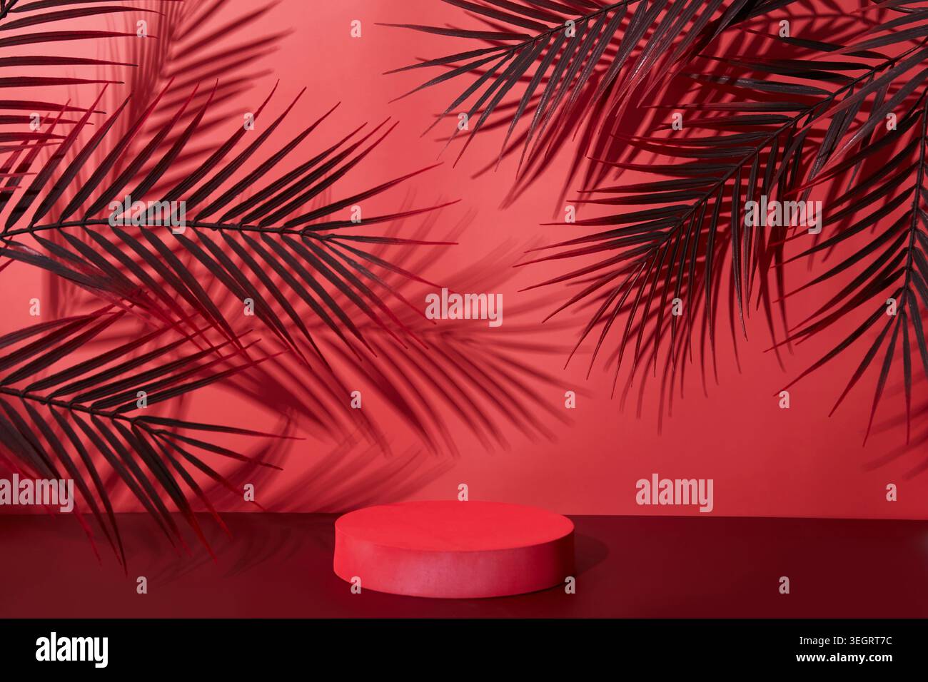 Un podio rosso e circolare è posto su una superficie di rosso scuro, circondato da fronde di palme e da una parete rossa. Foto Stock
