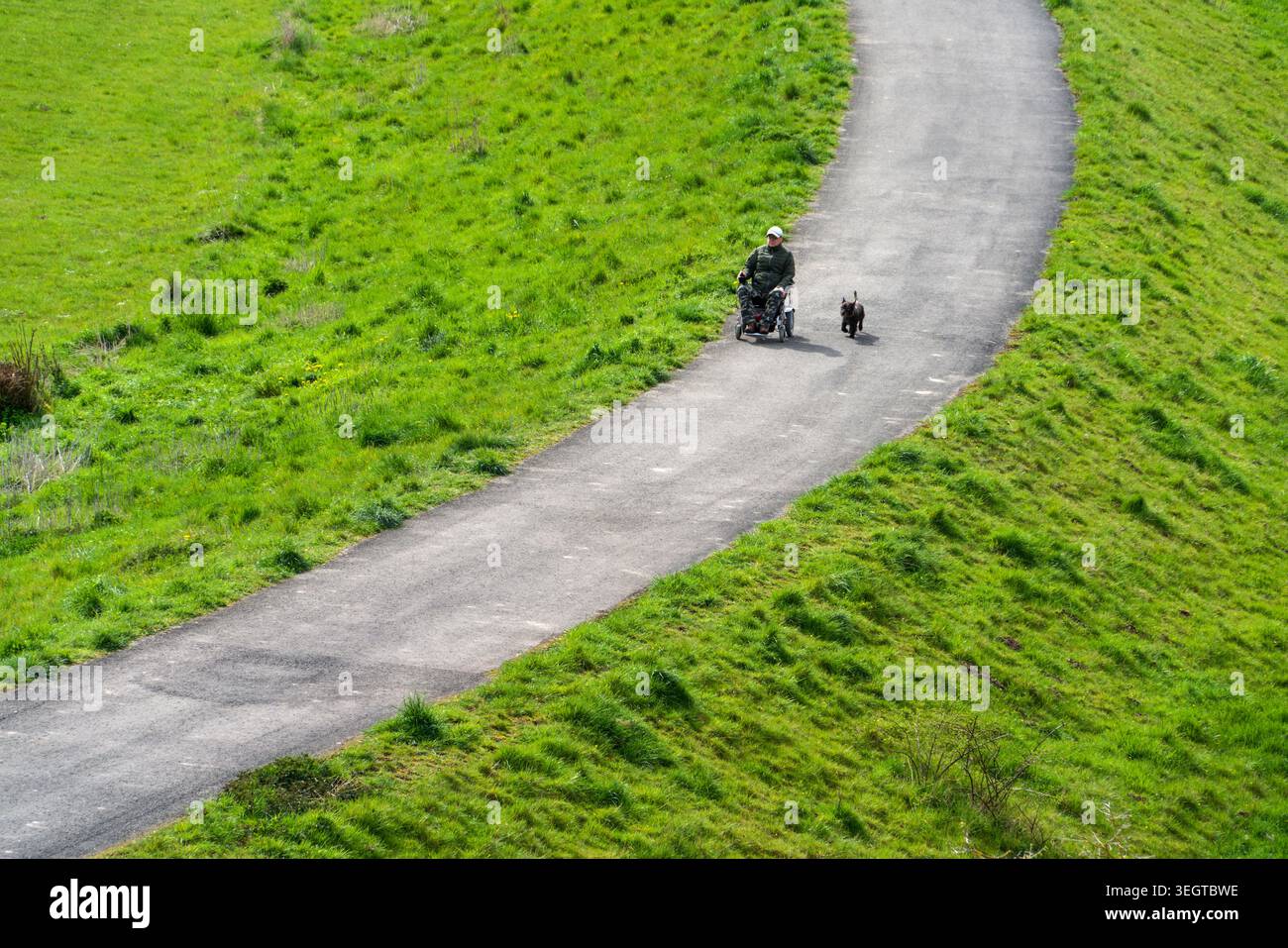 Un uomo disabile che cammina il suo cane da una sedia a rotelle, Germania, Europa Foto Stock