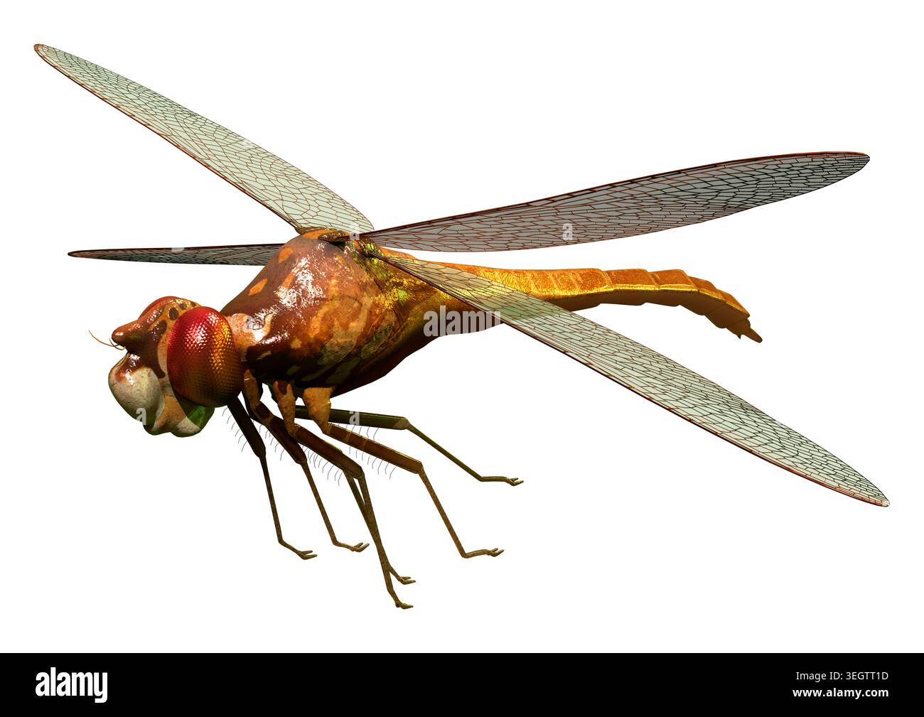 Rendering 3D di una Meganeura, nota anche come la gigantesca libellula, isolata su uno sfondo bianco. Questa illustrazione digitale dettagliata rappresenta un'estensione Foto Stock