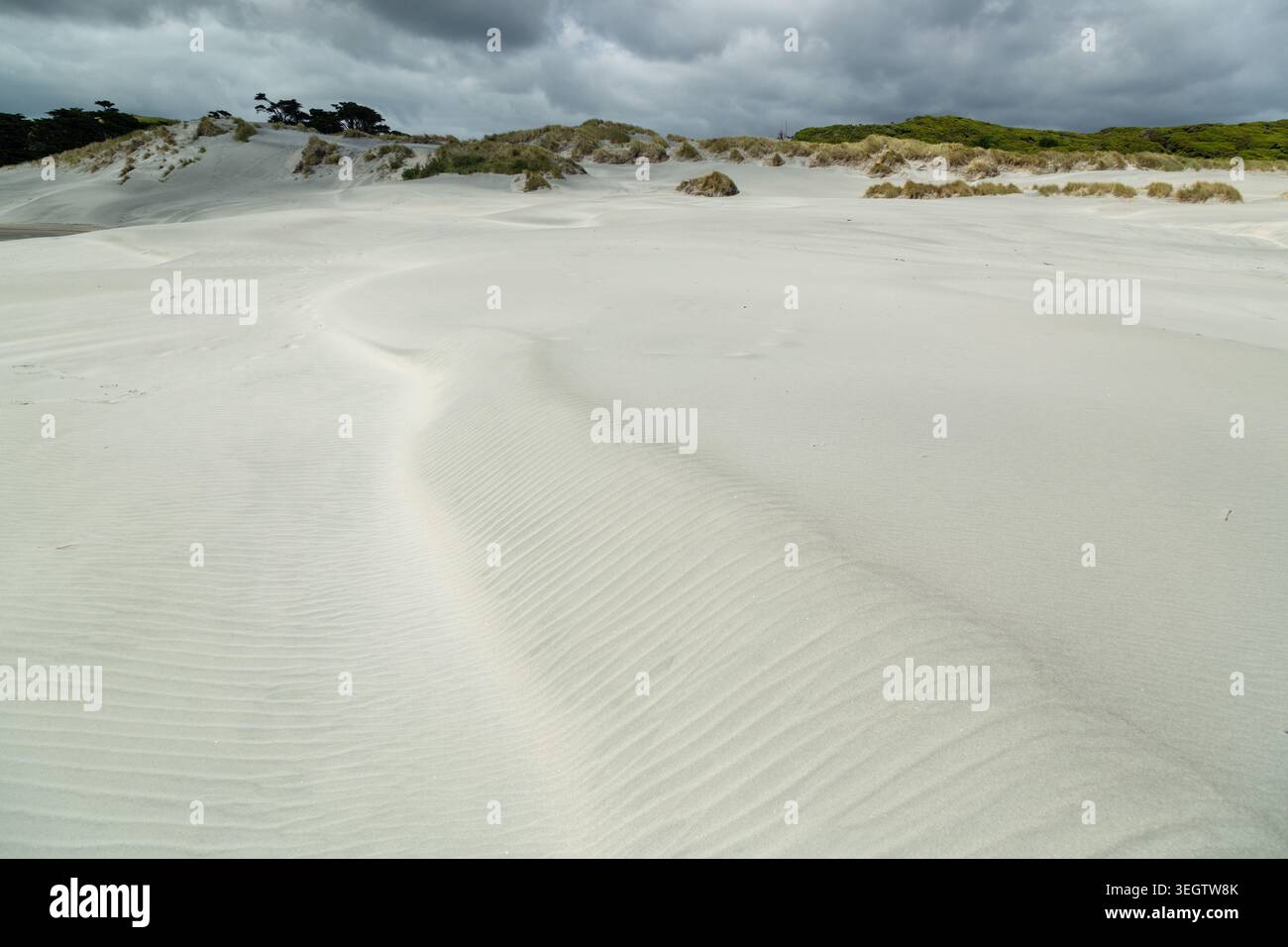 Wharariki Beach nel Parco Nazionale di Kahurangi, Isola del Sud, nuova Zelanda Foto Stock