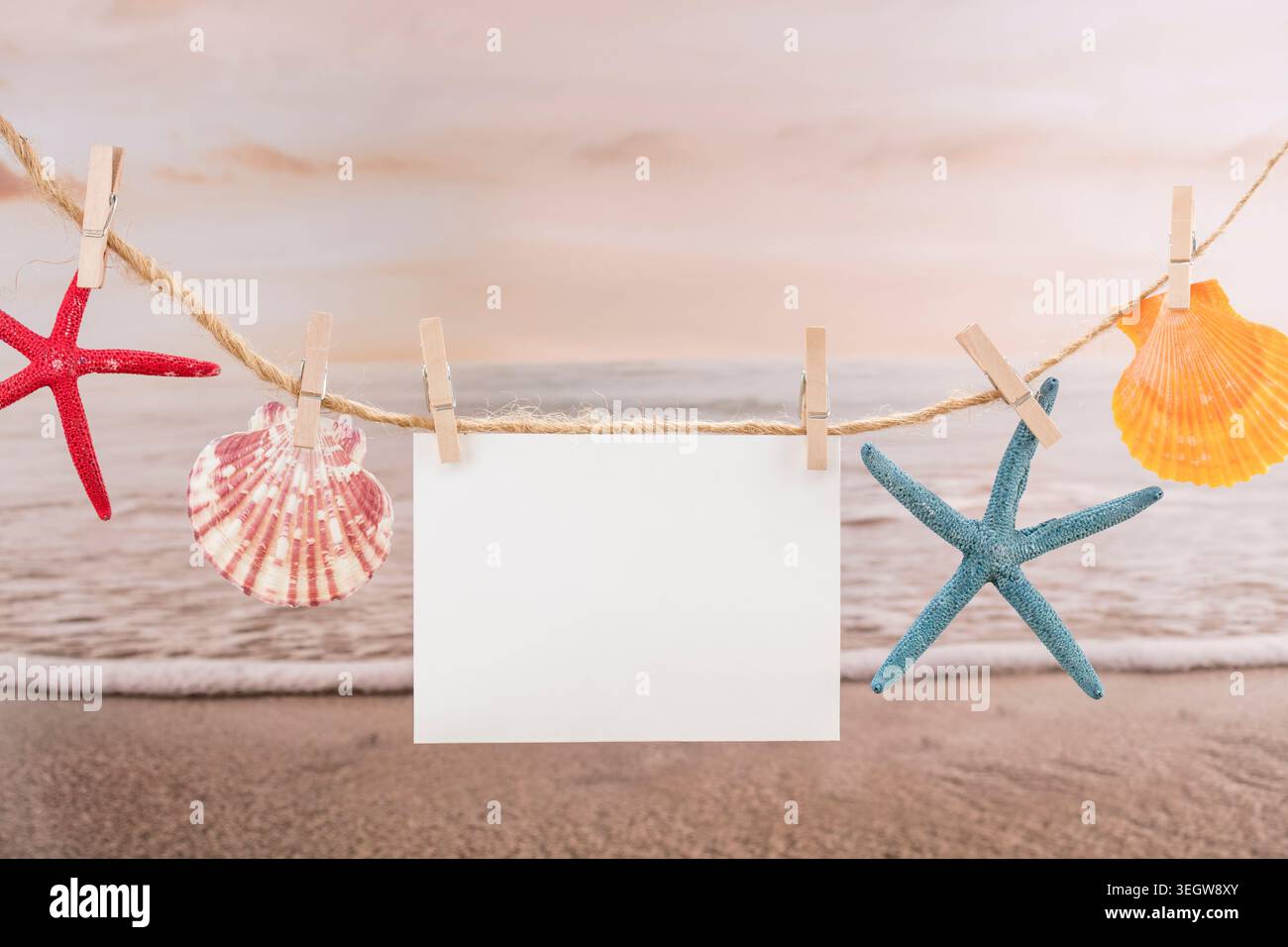 Conchiglie e stelle marine sono appese su una clothesline in spiaggia, asciugando al sole del mattino. Foto Stock
