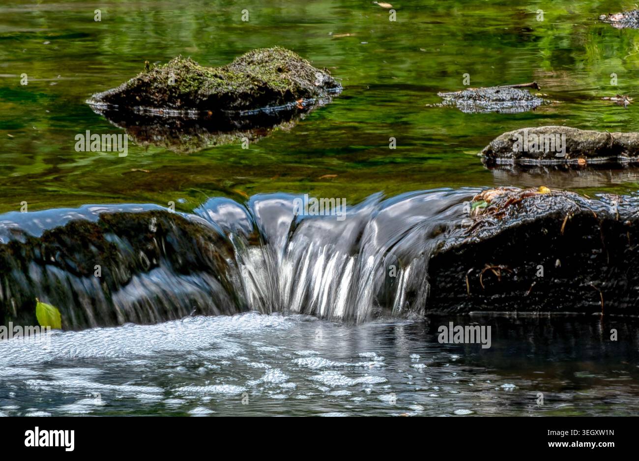 Un piccolo ruscello che scorre in un parco Foto Stock