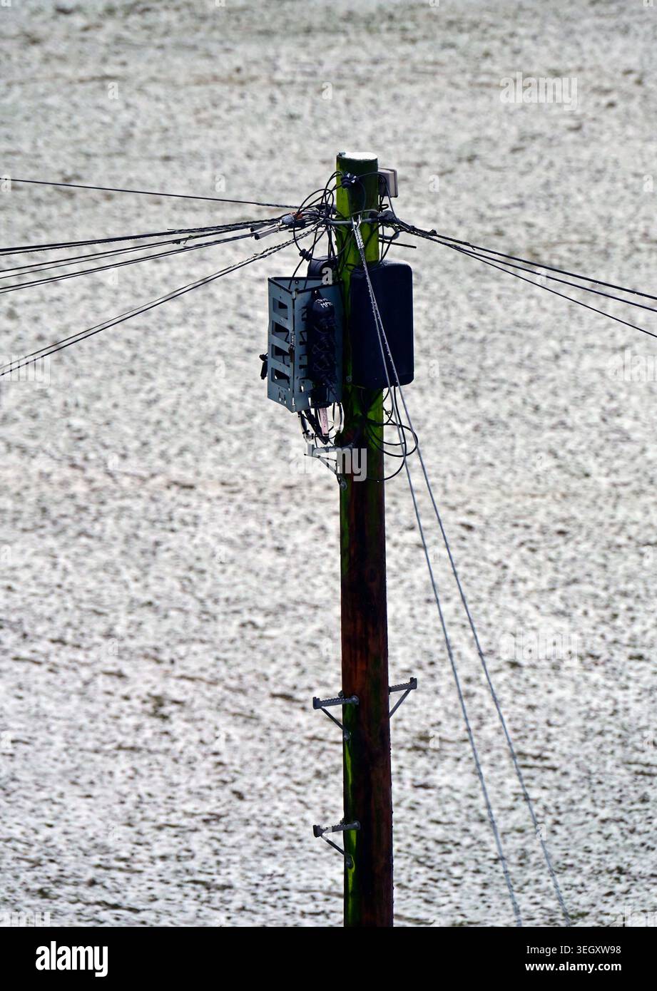 Scatole di connessione a banda larga in fibra montate su palo in legno. Bowling Fell, Kendal, Cumbria, Inghilterra, Regno Unito, Europa. Foto Stock