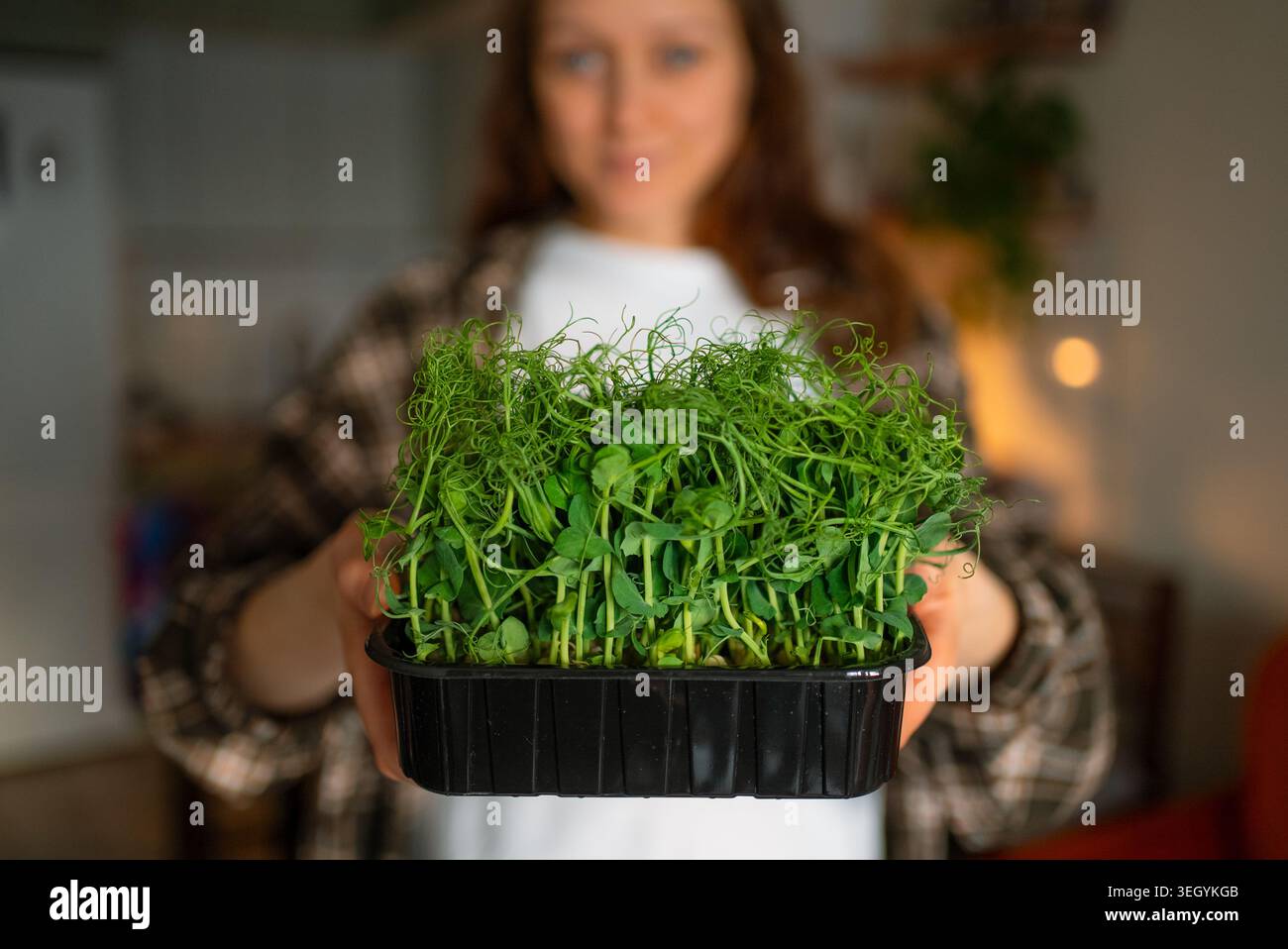 Donna che tiene in mano un vassoio nero pieno di vibranti germogli di piselli verdi, presenta germogli biologici freschi coltivati per una sana alimentazione e un giardinaggio domestico sostenibile Foto Stock