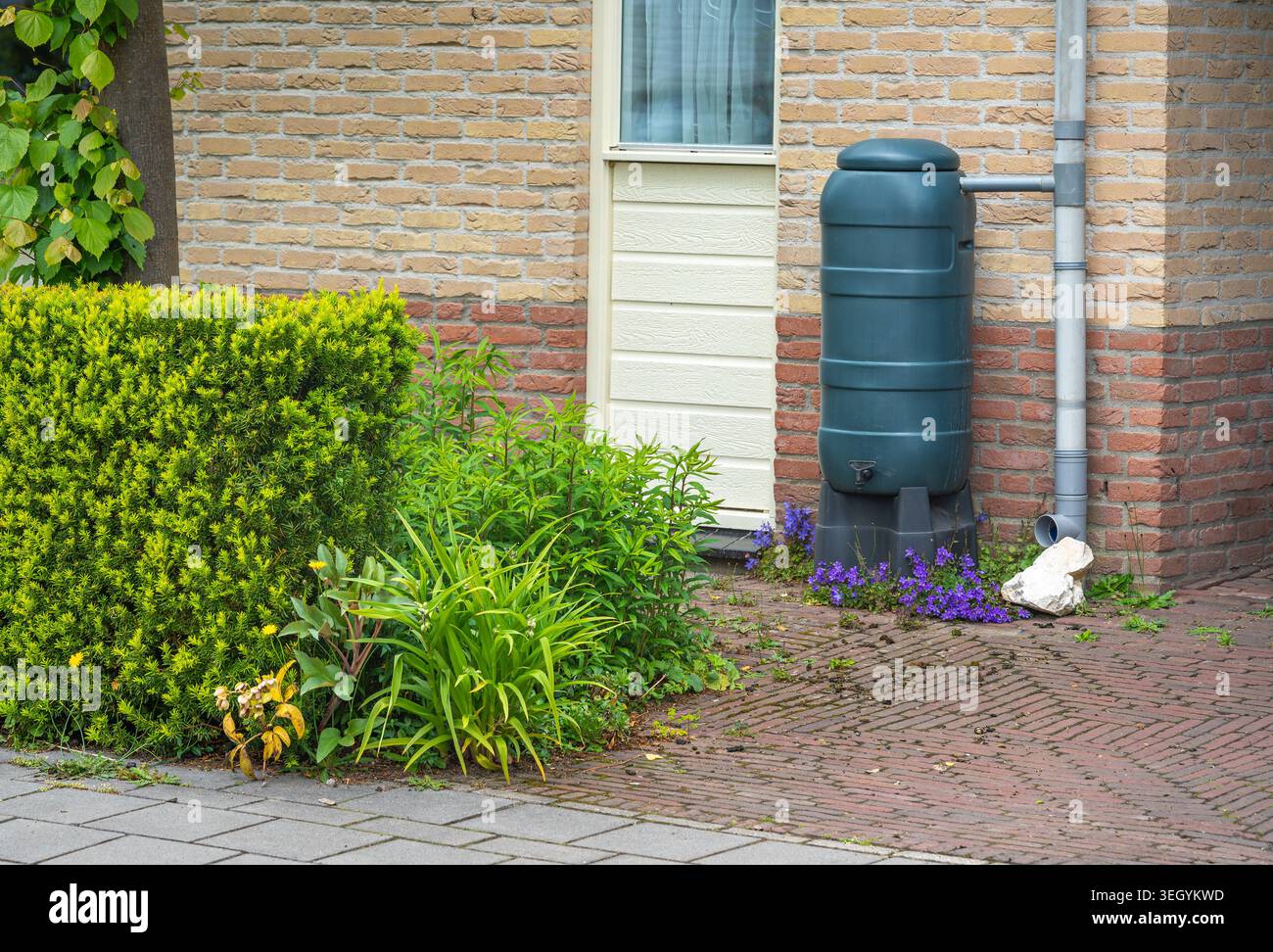 Risparmio d'acqua grazie al cilindro antipioggia installato all'esterno di una casa moderna Foto Stock