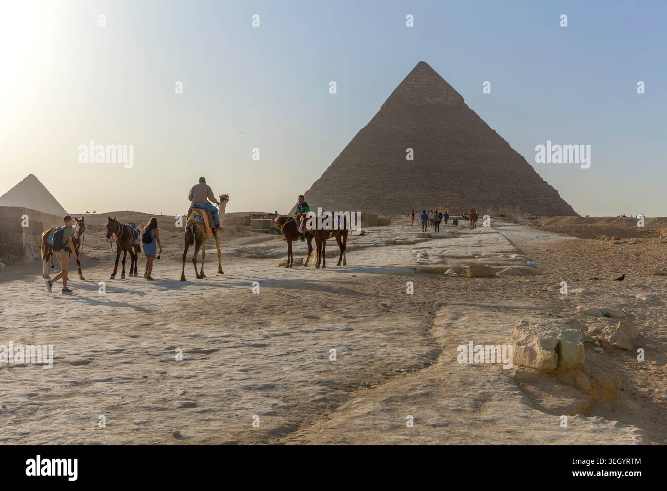 Passeggiate a cavallo e a dorso di cammello offerte ai turisti nei pressi della grande Sfinge, con la Piramide di Khafre sullo sfondo, Giza Foto Stock