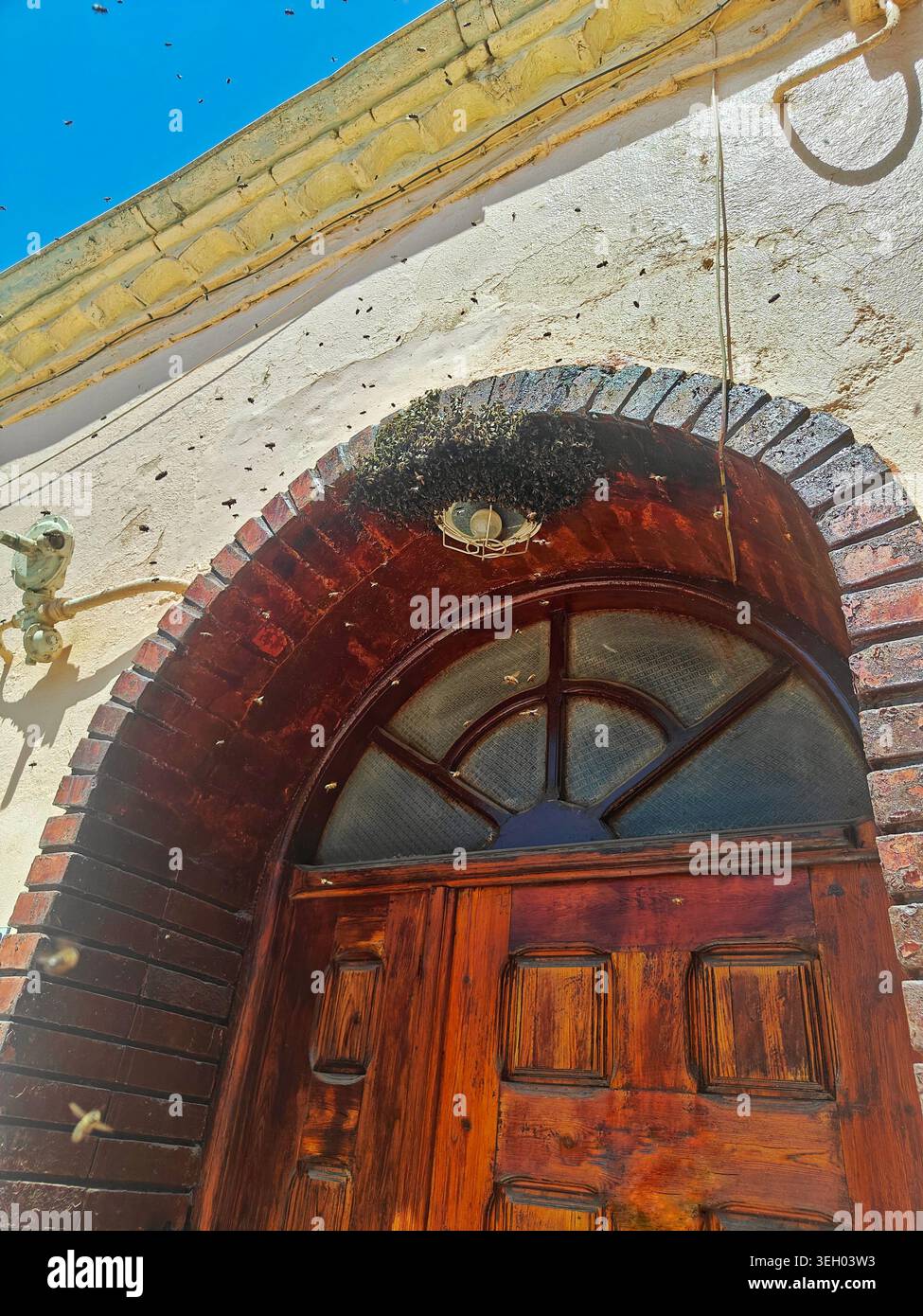 Uno sciame di api mellifere selvatiche che si radunano intorno a un'applique esterna sopra un'antica porta ad arco in legno. - Immagine stock catturata con smartphone
