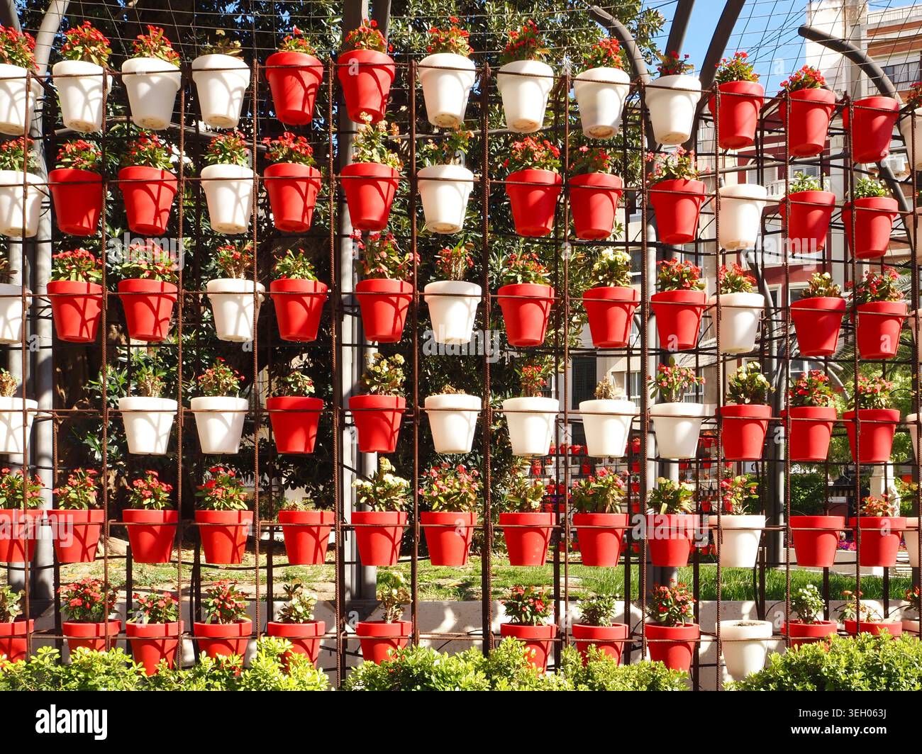File di terracotta e vasi di fiori bianchi formano un muro curvo in Plaza de Santo Domingo Murcia Spagna Foto Stock
