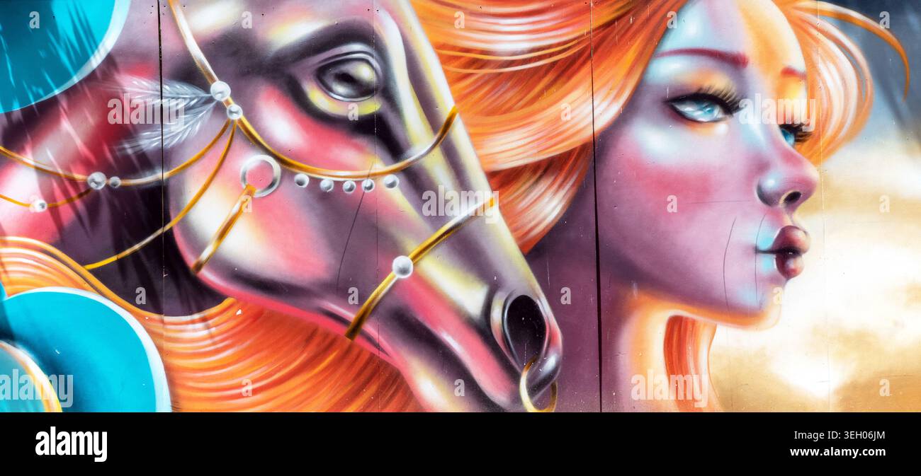 Wall Art a Bergerac Francia Foto Stock