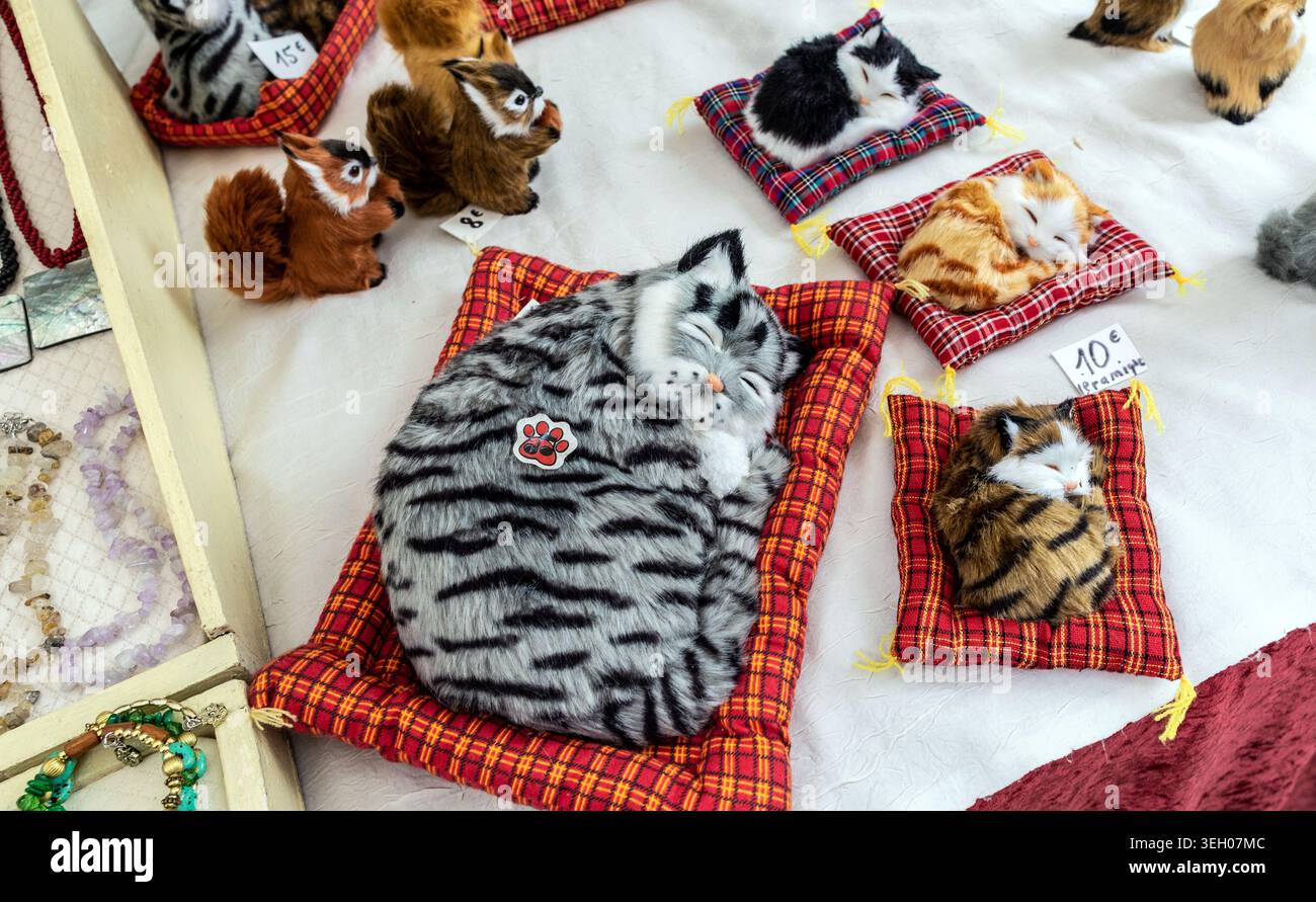 Gatti ripieni nel mercato domenicale di Issigeac Dordogne Francia Foto Stock