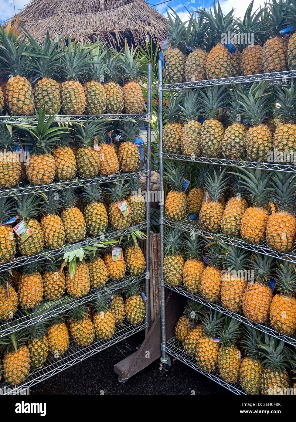 Grande esposizione di ananas maturi disposti su scaffali metallici presso un mercato di frutta tropicale. - Immagine stock catturata con smartphone