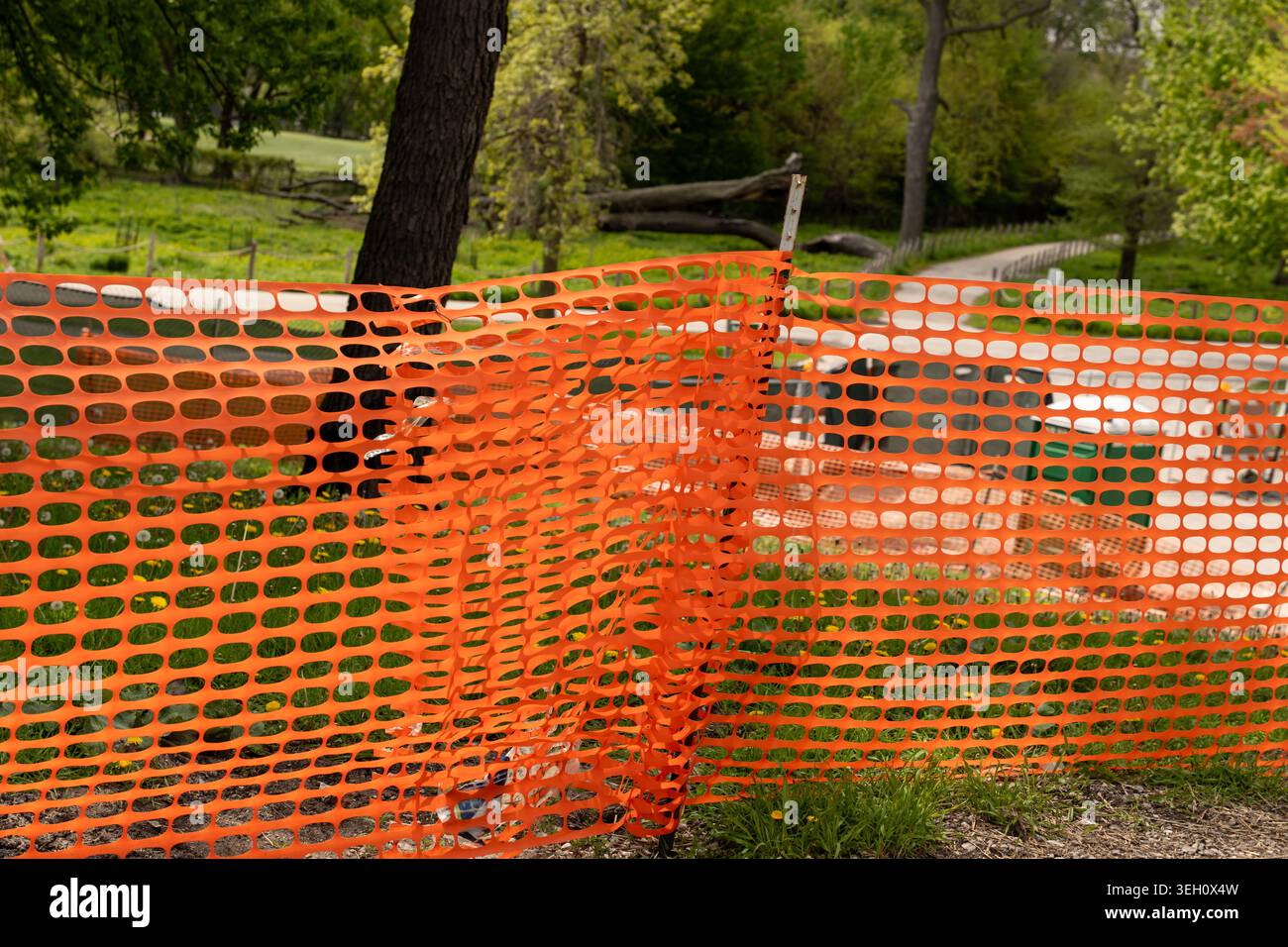 La rete di sicurezza arancione si estende lungo un percorso segnalando una zona di lavoro. La rete è supportata da picchetti metallici ed è fissata in verde Foto Stock